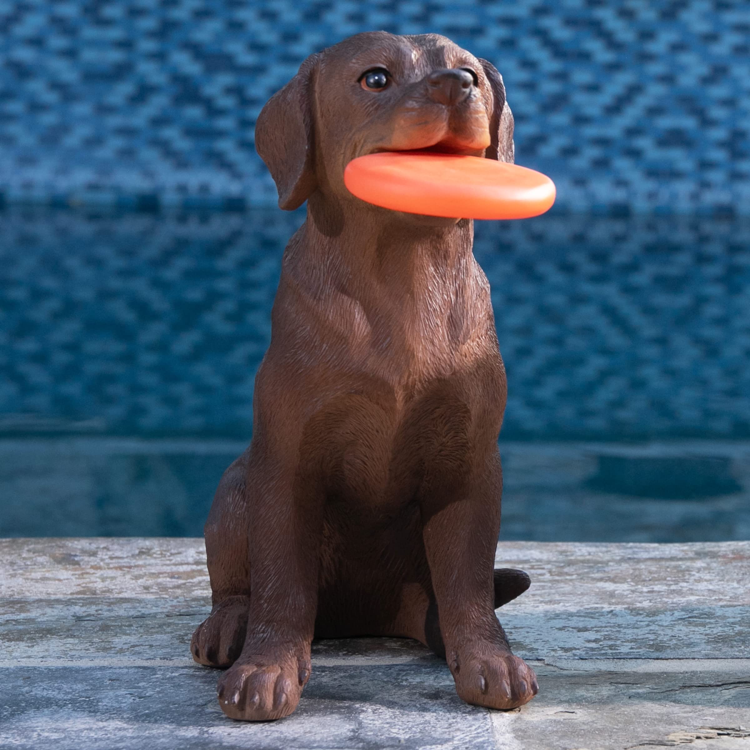 Exhart Solar Chocolate Labrador Retriever Dog with LED Frisbee